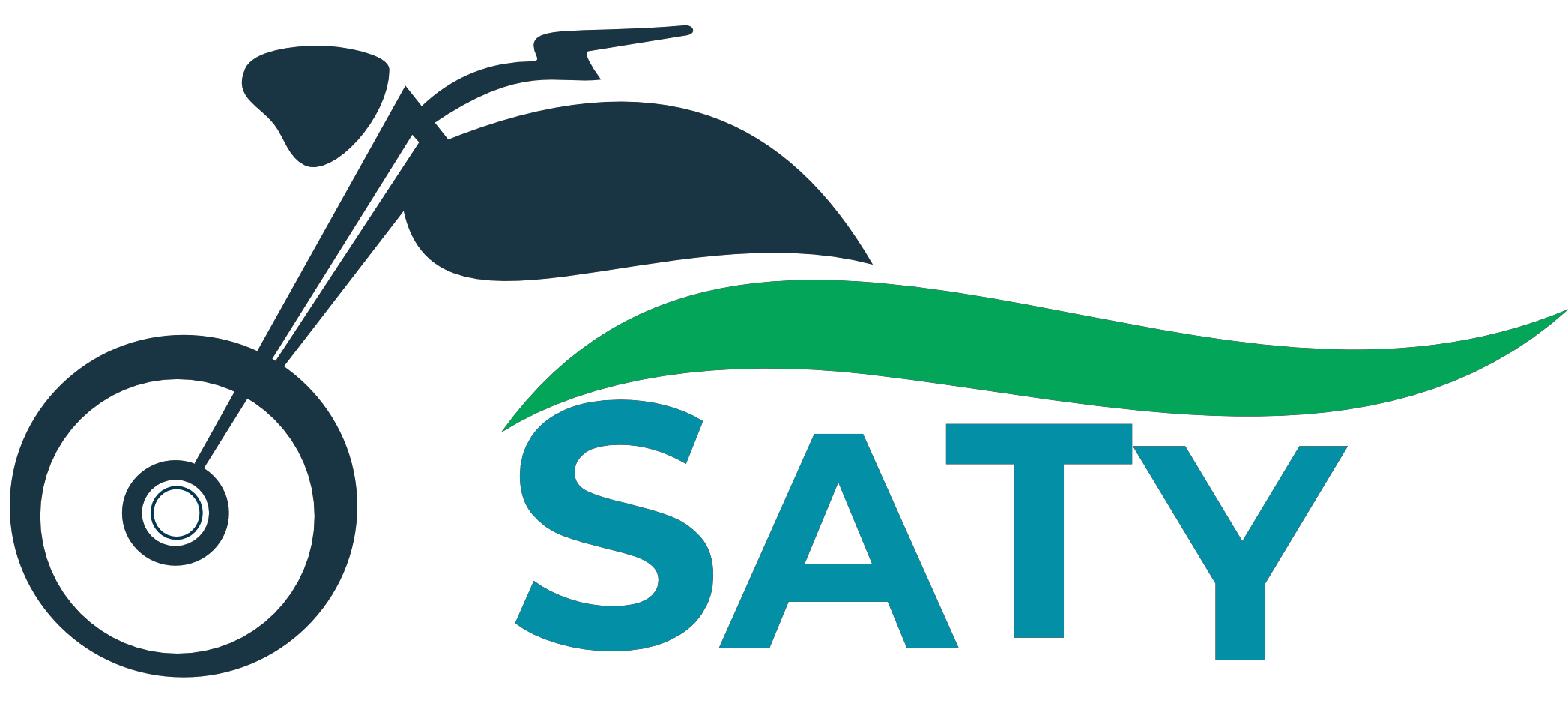 SatyServices Logo